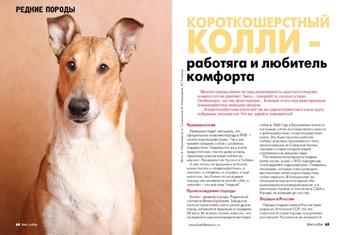 Журнал Мир Собак статья Елены Корзниковой